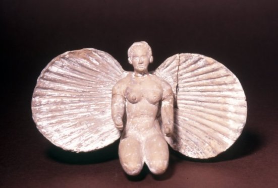 aphrodite shell