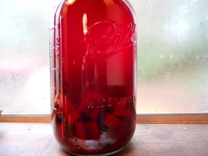 beet kvass