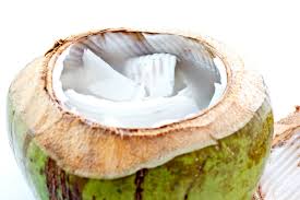 coconut