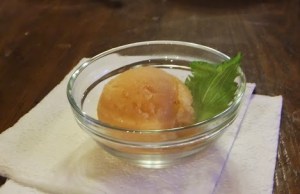 melonshisosorbet