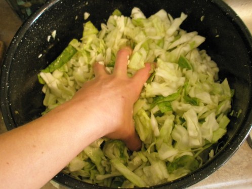 After adding garlic, ginger, whey, and salt, hand squeeze the juices out of the cabbage