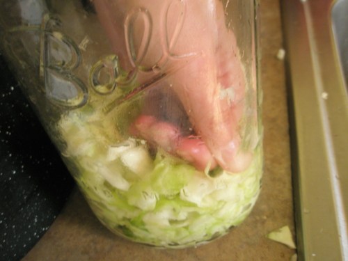 Press the cabbage into your jar layer by layer if you are able; more juice is squeezed out this way