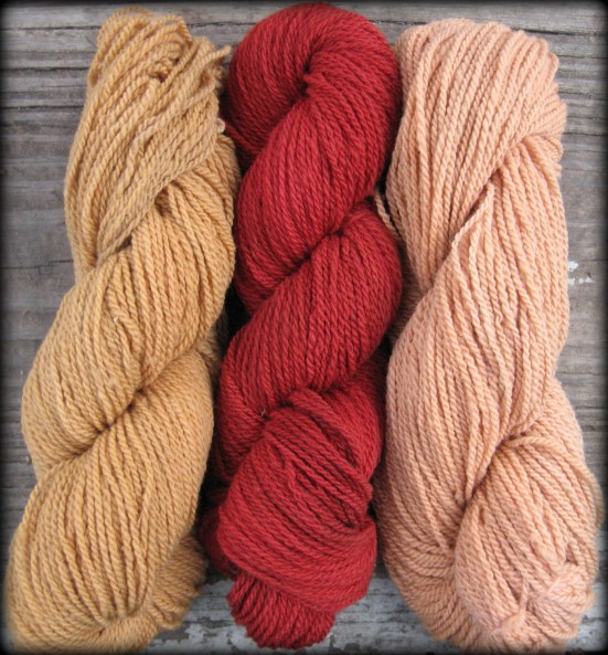 3-poke-raceme-dyebaths-11-26-2012-3-25-14-pm