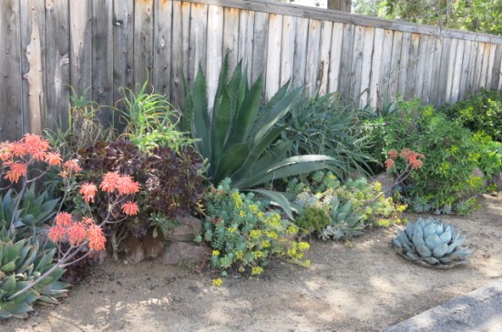 ojai landscaping