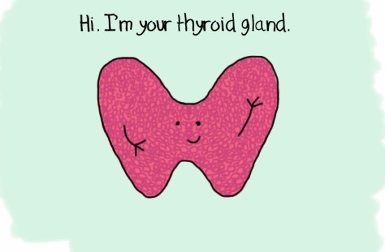 thyroid