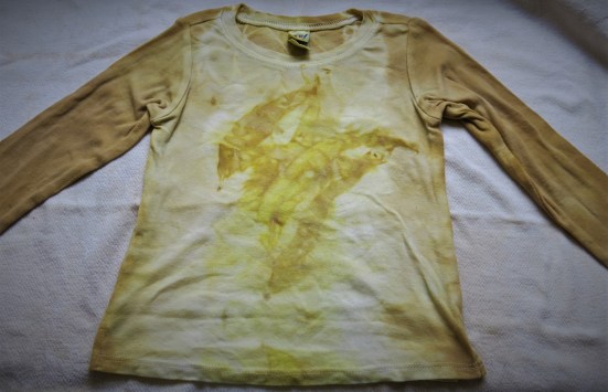 eucalyptus fresh bundle