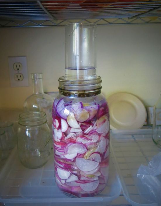 fermented radishes with glass
